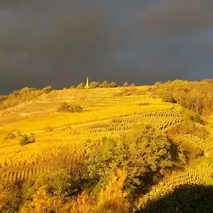  Maison d'hôtes Wine Passion Panoramic